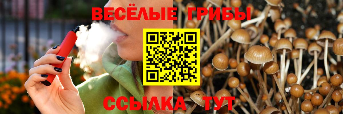 Димитровград  Галлюциногенные грибы прущие грибы  где продают наркотики  Вход с VPN 